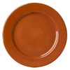 Pfaltzgraff Artisan Rust Dinner Plate