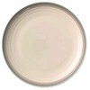 Pfaltzgraff Aura Dinner Plate