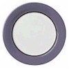 Pfaltzgraff Mystic Dinner Plate