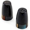 Pfaltzgraff Nile Salt and Pepper Set