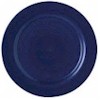 Pfaltzgraff Nuance of Navy Dinner Plate