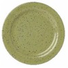 Pfaltzgraff Nuance of Sage Bread & Butter/Dessert Plate
