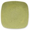 Pfaltzgraff Nuance of Sage Square Dinner Plate