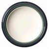 Pfaltzgraff Pacific Breeze Salad Plate