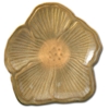 Pfaltzgraff Painted Poppies Gold Floral Appetizer Plate