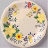 Pfaltzgraff Paradise Dinner Plate
