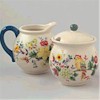 Pfaltzgraff Paradise Sugar & Creamer Set