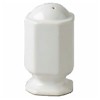 Pfaltzgraff Providence Salt Shaker