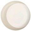 Pfaltzgraff Sand & Seas Sandbar Dinner Plate