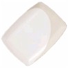 Pfaltzgraff Sand & Seas Sandbar Steak/Fish Plate