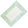 Pfaltzgraff Seaside Frosted Placemat