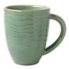 Pfaltzgraff Seychelles Green Sea Coffee Mug