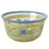 Pfaltzgraff Summer Breeze Hand-painted Glass Dessert Bowl