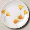 Pfaltzgraff Sunshine Salad Plate