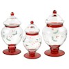 Pfaltzgraff Winterberry Etched & Handpainted Apothecary Jars