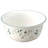 Pfaltzgraff Winterberry Deep Soup/Cereal Bowl