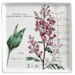 Botanical Gardenby Rosanna