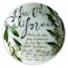 Olive Oil by Rosanna