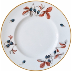 Royal Worcester Fraises Des Bois