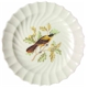Spode American Birds
