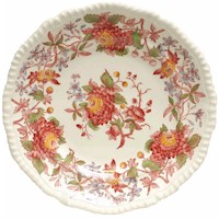 Spode Aster