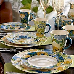 Spode Chicory Hymn by Kim Parker