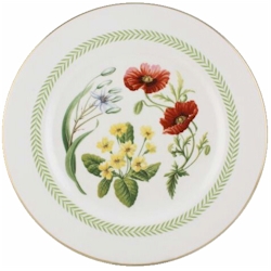 Spode Country Lane