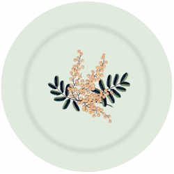 Spode Mimosa