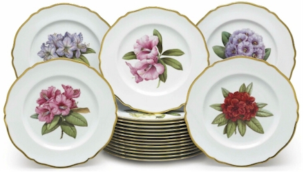 Spode Rhododendron