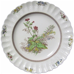 Spode Rosalie