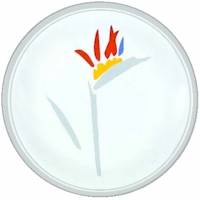 Studio Nova Bird of Paradise