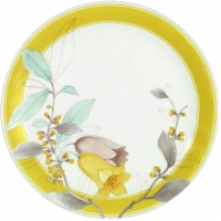Studio Nova Cinderella