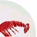 Studio Nova Red Lobster