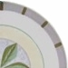 Studio Nova Tender Leaf