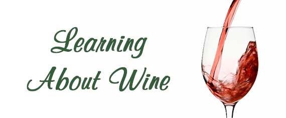 Learning About Wine Video Lessons