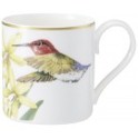 Villeroy & Boch Amazonia After Dinner Cup