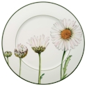 Villeroy & Boch Flora Daisy Buffet Plate