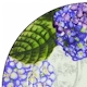 American Atelier Hydrangea Toile