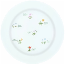 Floret by Anchor Hocking