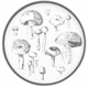 Block China Mushrooms
