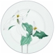 Block China Trillium