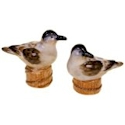 Certified International Beach Cottage Salt & Pepper Set