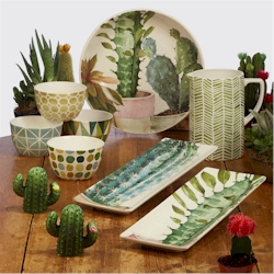 Certified International Cactus Verde