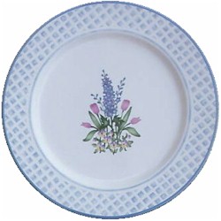 Certified International Delphinium