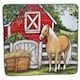 Certified International Clover Farm