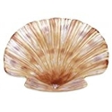 Certified International Coastal View 3D Shell Candy Plate