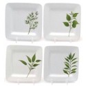 Certified International Culinary Herbs Canape Plates