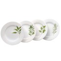Certified International Culinary Herbs Dinner Plates