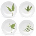Certified International Culinary Herbs Oil Dip Plates