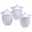 Certified International Ellipse Canister Set